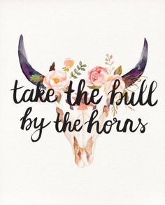 bull by the horns